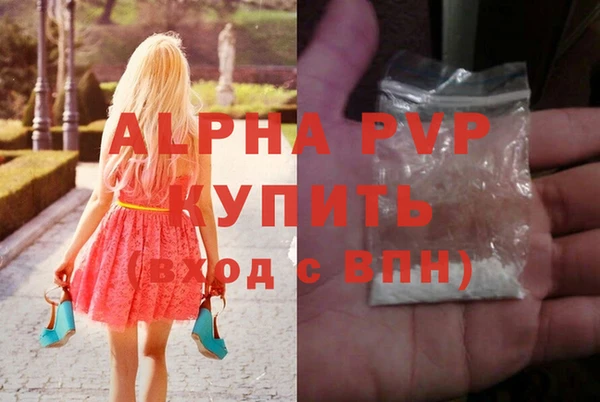 a pvp Белокуриха